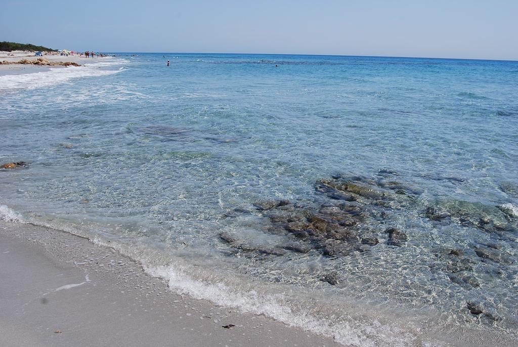 B&B Il Mirto Di Paola Torpè エクステリア 写真