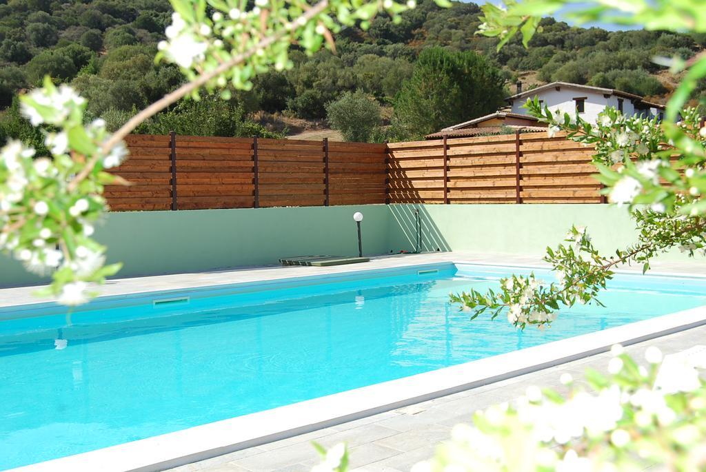 B&B Il Mirto Di Paola Torpè エクステリア 写真